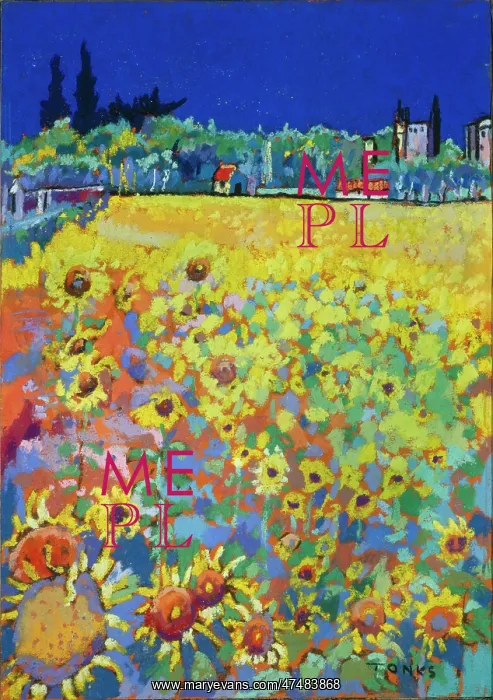 : Sunflowers, The Loire : Sunflowers, The Loire