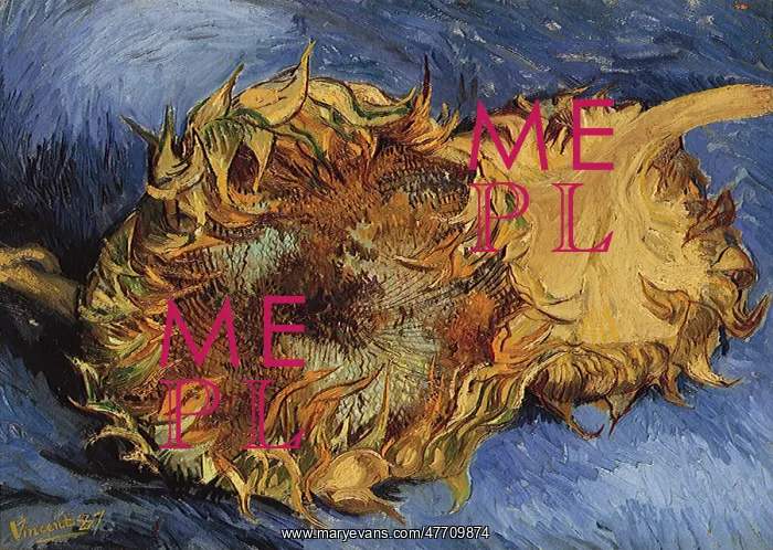 : Sunflowers, by Van Gogh : Sunflowers, by Van Gogh