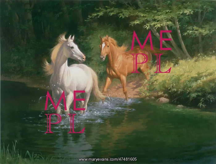 : Sunlight on Forest Waters - two horses : Sunlight on Forest Waters - two horses