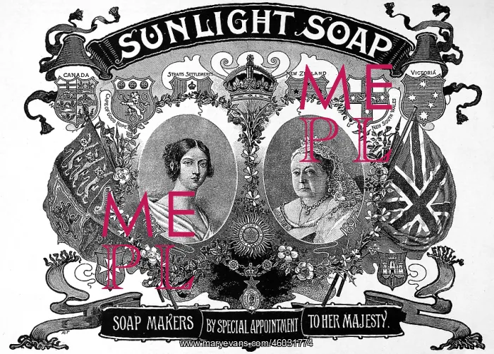 : Sunlight jubilee : Sunlight jubilee