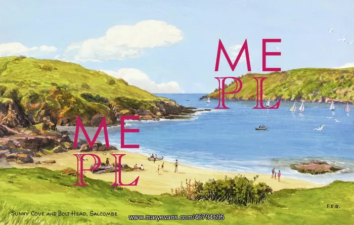 : Sunny Cove and Bolt Head, Salcombe, Devon : Sunny Cove and Bolt Head, Salcombe, Devon