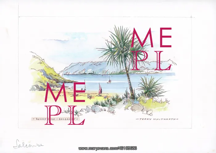  : Sunny Cove, Salcombe