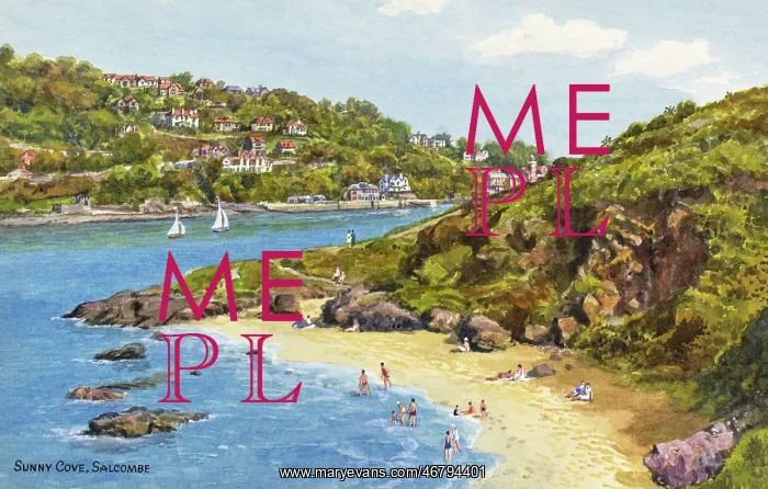 : Sunny Cove, Salcombe, Devon : Sunny Cove, Salcombe, Devon