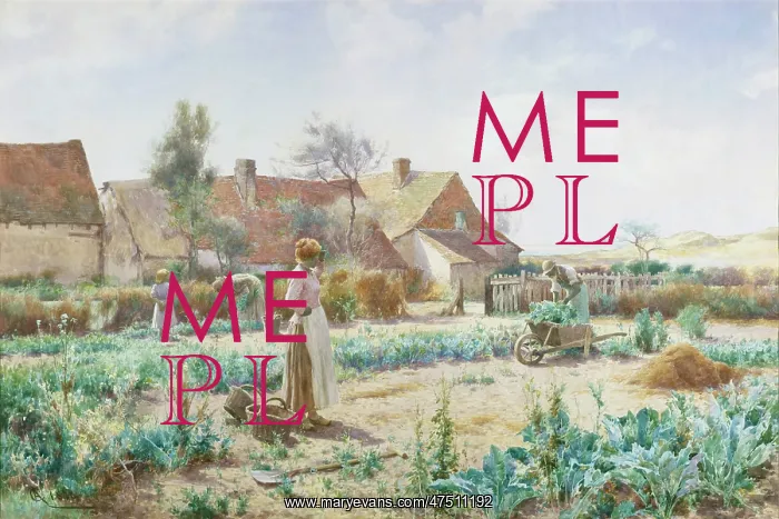 : A Sunny Morning, an Old Garden : A Sunny Morning, an Old Garden