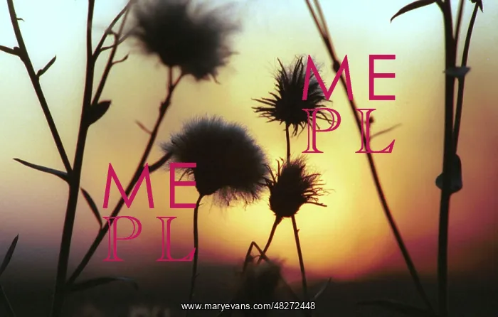 : Sunset photo art work, 1991 : Sunset photo art work, 1991