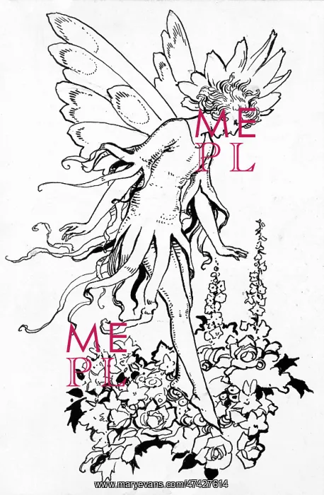 : The Sunshine Fairy : The Sunshine Fairy