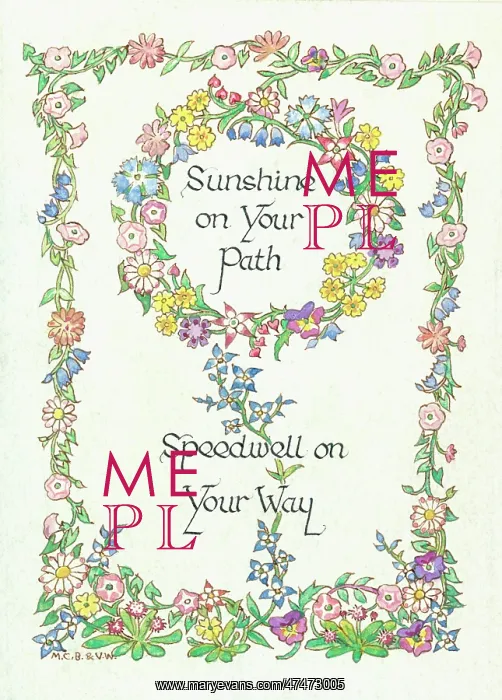 : Sunshine on your Path, Speedwell on your Way : Sunshine on your Path, Speedwell on your Way