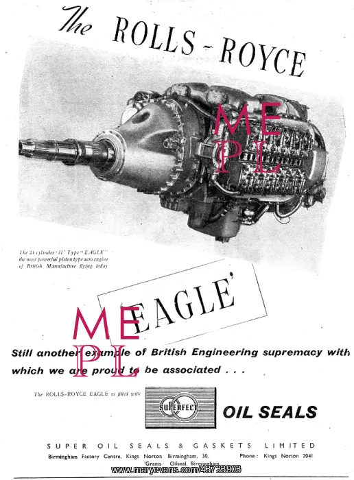 : Super Oil Seals & Gaskets : Super Oil Seals & Gaskets