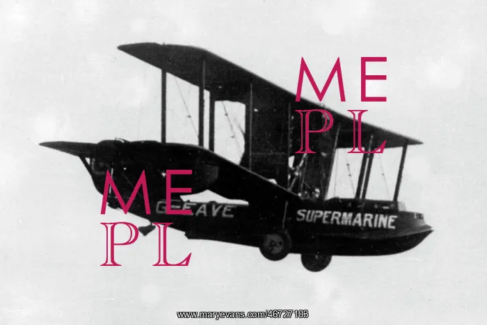  : Supermarine Channel landing
