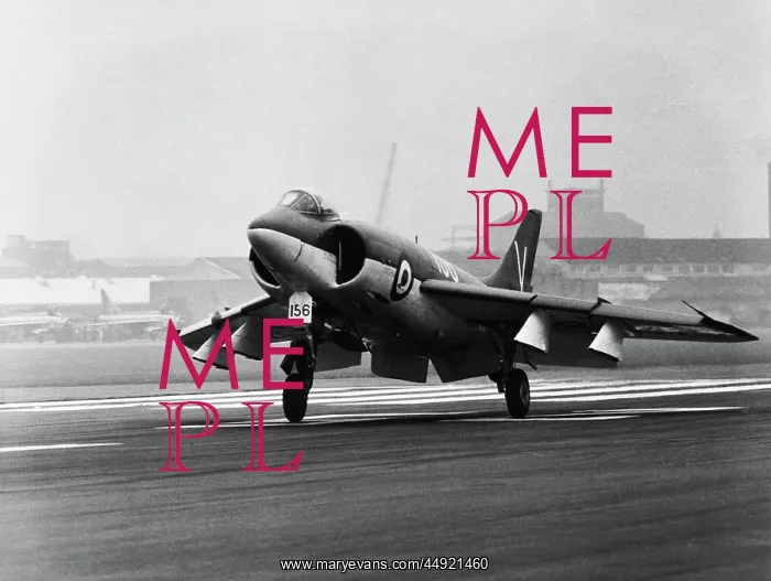  : Supermarine Scimitar F-1
