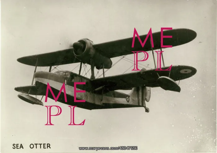 : Supermarine Sea Otter : Supermarine Sea Otter