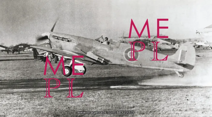 : Supermarine Seafire : Supermarine Seafire