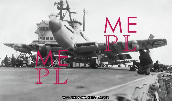 : Supermarine Seafire : Supermarine Seafire