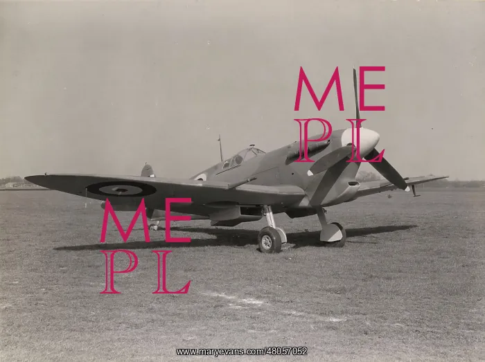 : Supermarine Seafire IB : Supermarine Seafire IB