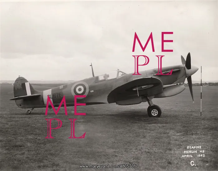 : Supermarine Seafire IB BL676 : Supermarine Seafire IB BL676