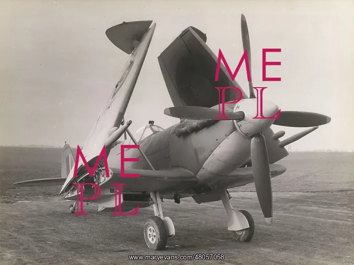 : Supermarine Seafire III with wings folded : Supermarine Seafire III with wings folded