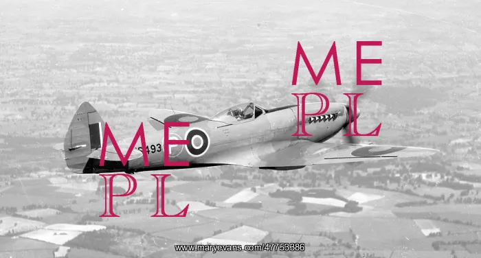 : Supermarine Seafire Mk.XV NS493 : Supermarine Seafire Mk.XV NS493