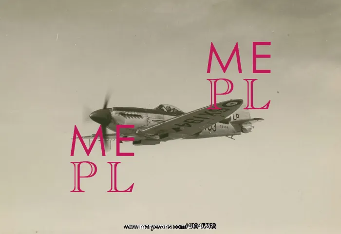 : Supermarine Seafire XVII SX194 : Supermarine Seafire XVII SX194
