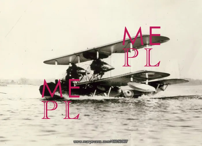 : Supermarine Seamew : Supermarine Seamew