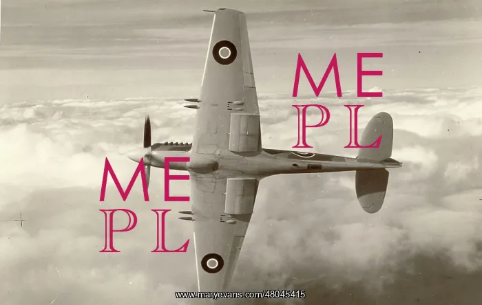 : Supermarine Spiteful : Supermarine Spiteful
