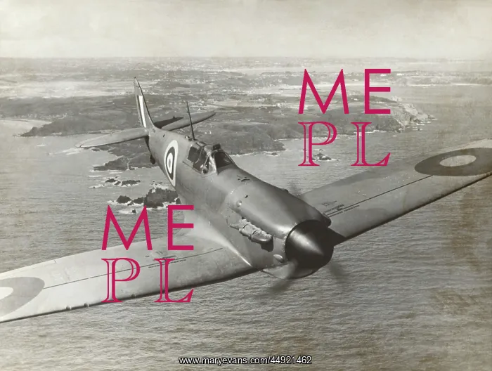 : Supermarine Spitfire 1 / I : Supermarine Spitfire 1 / I