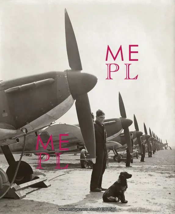 : Supermarine Spitfire 1 / I : Supermarine Spitfire 1 / I