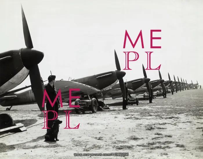 : Supermarine Spitfire 1 / I : Supermarine Spitfire 1 / I