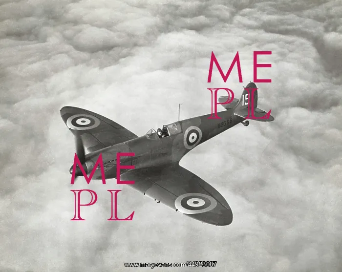 : Supermarine Spitfire 1 / I : Supermarine Spitfire 1 / I