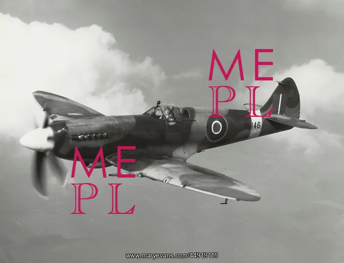 : Supermarine Spitfire 14 / XIV : Supermarine Spitfire 14 / XIV