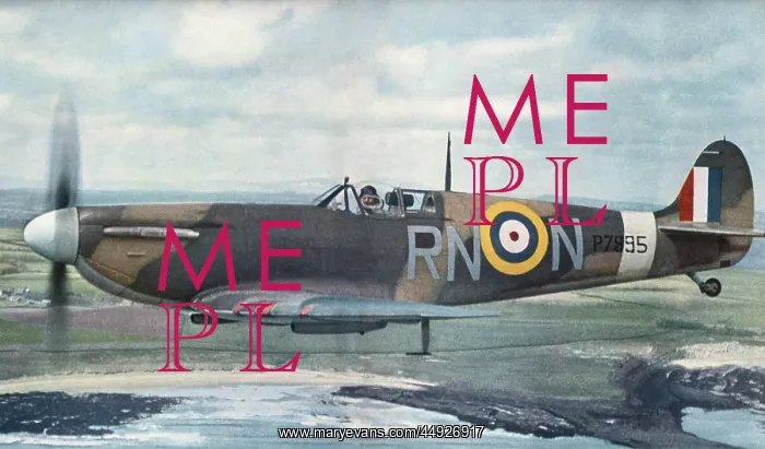 : Supermarine Spitfire 2 / II : Supermarine Spitfire 2 / II