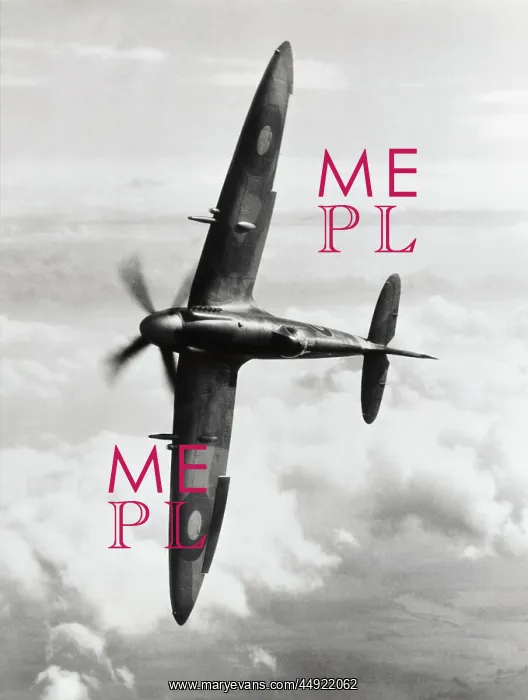 : Supermarine Spitfire : Supermarine Spitfire