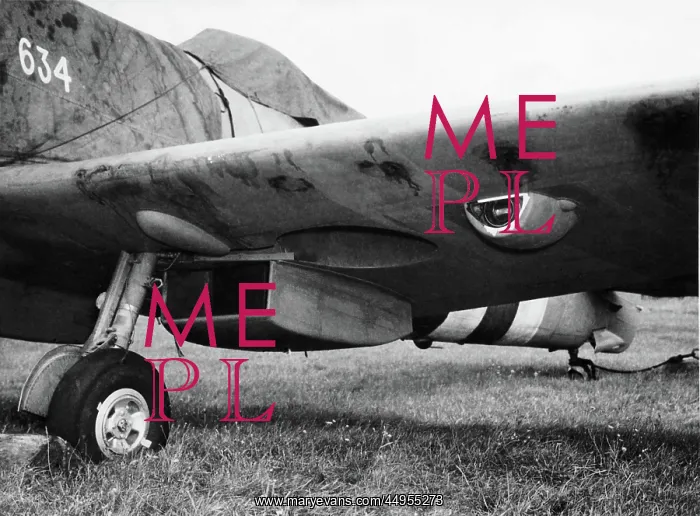 : Supermarine Spitfire : Supermarine Spitfire