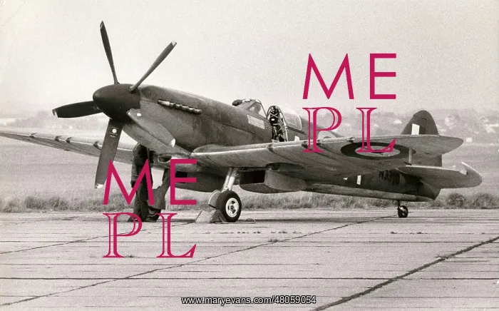 : Supermarine Spitfire : Supermarine Spitfire