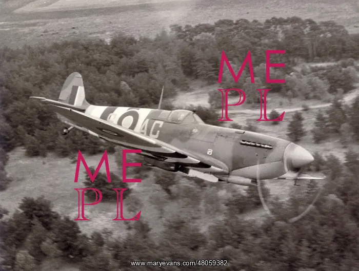 : Supermarine Spitfire : Supermarine Spitfire