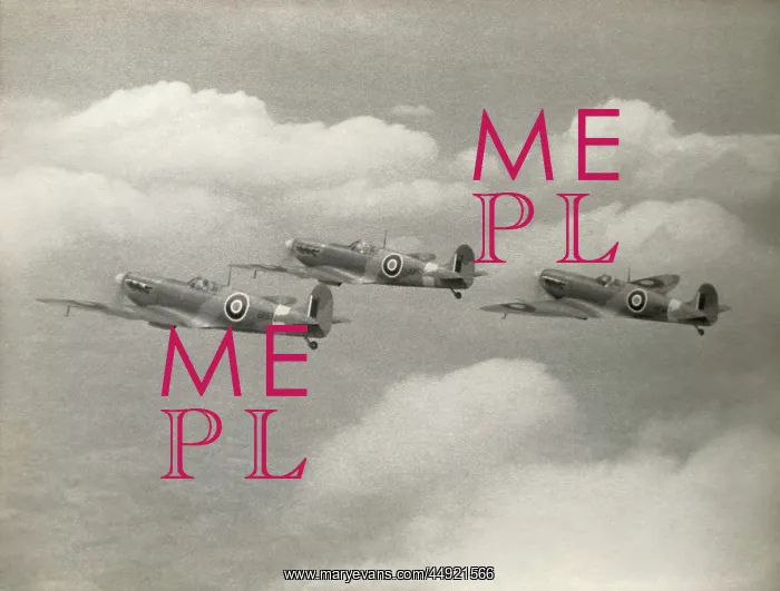 : Supermarine Spitfire 5 / V : Supermarine Spitfire 5 / V