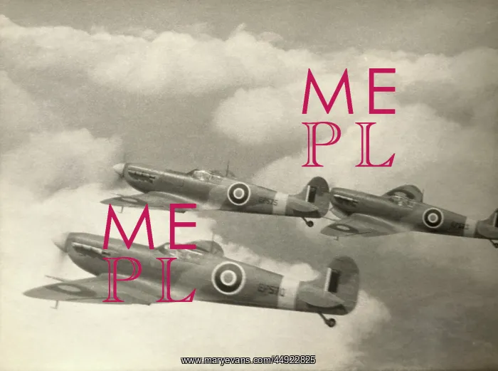  : Supermarine Spitfire 5  /  V