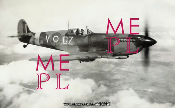 : Supermarine Spitfire 5 / V : Supermarine Spitfire 5 / V