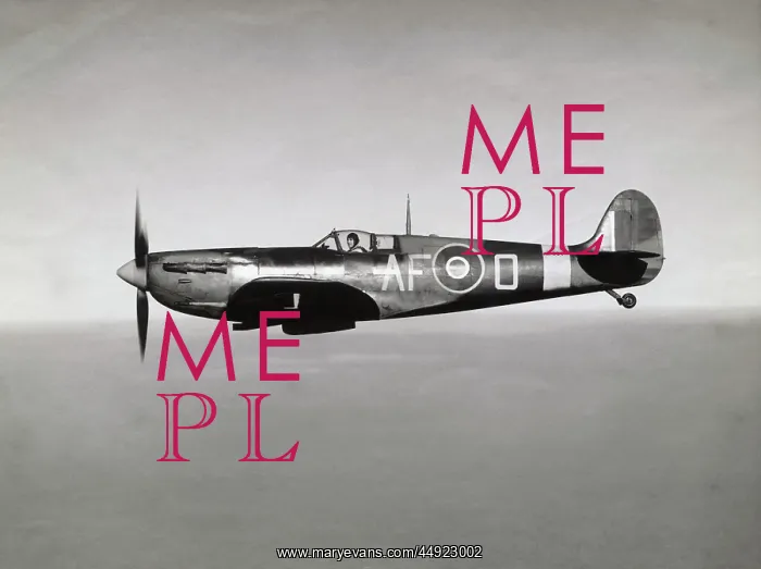 : Supermarine Spitfire 5B / VB : Supermarine Spitfire 5B / VB