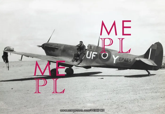: Supermarine Spitfire 5B / VB : Supermarine Spitfire 5B / VB