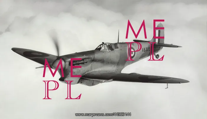 : Supermarine Spitfire 5B / VB : Supermarine Spitfire 5B / VB