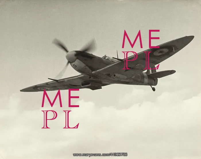 : Supermarine Spitfire 5B / VB : Supermarine Spitfire 5B / VB