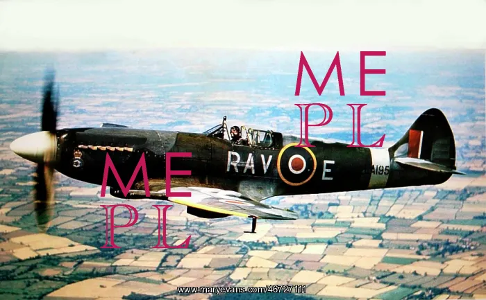 : Supermarine Spitfire F XIV -this version, powered by a : Supermarine Spitfire F XIV -this version, powered by a