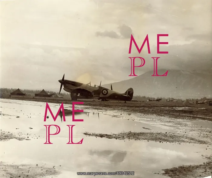 : Supermarine Spitfire fitted with a tropical filter : Supermarine Spitfire fitted with a tropical filter