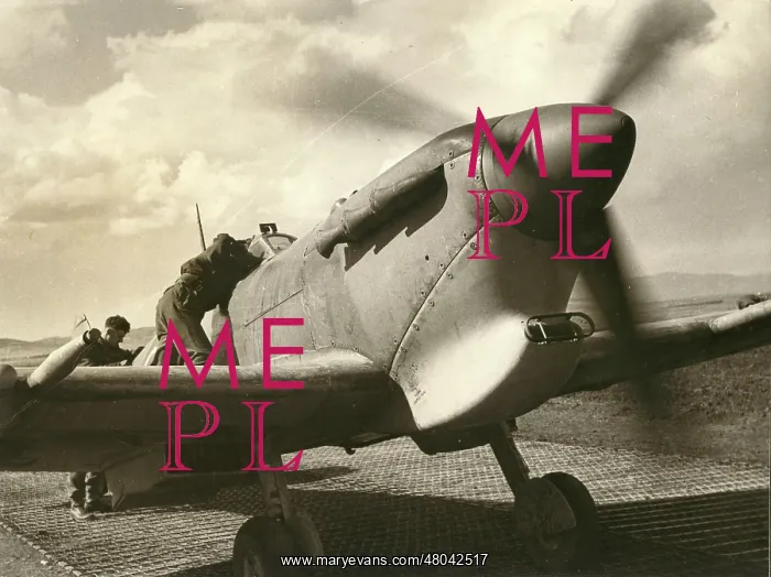 : Supermarine Spitfire fitted with a tropical filter : Supermarine Spitfire fitted with a tropical filter