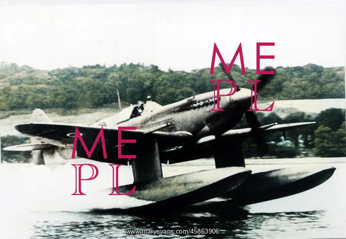 : Supermarine Spitfire IX floatplane (forward view) landi? : Supermarine Spitfire IX floatplane (forward view) landi?