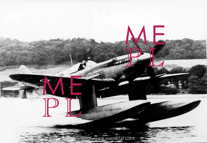 : Supermarine Spitfire IX floatplane (forward view) landi : Supermarine Spitfire IX floatplane (forward view) landi