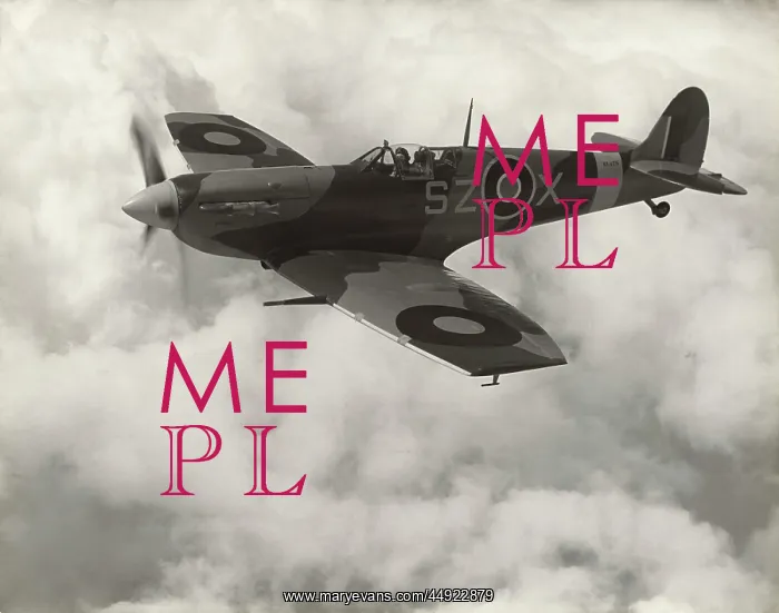 : Supermarine Spitfire LF-5B / LF-VB : Supermarine Spitfire LF-5B / LF-VB