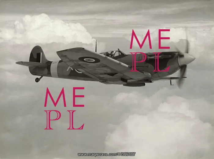 : Supermarine Spitfire LF-5B / LF-VB : Supermarine Spitfire LF-5B / LF-VB