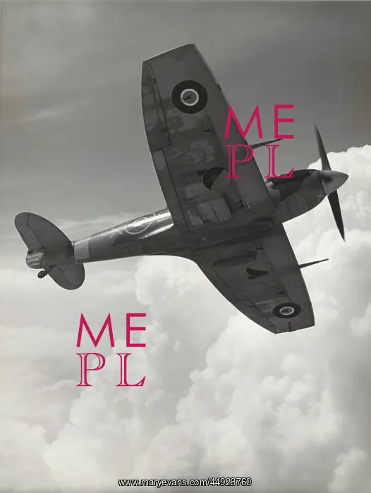  : Supermarine Spitfire LF-5B  /  LF-VB