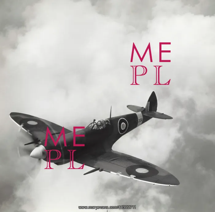: Supermarine Spitfire LF-8 / VIII : Supermarine Spitfire LF-8 / VIII